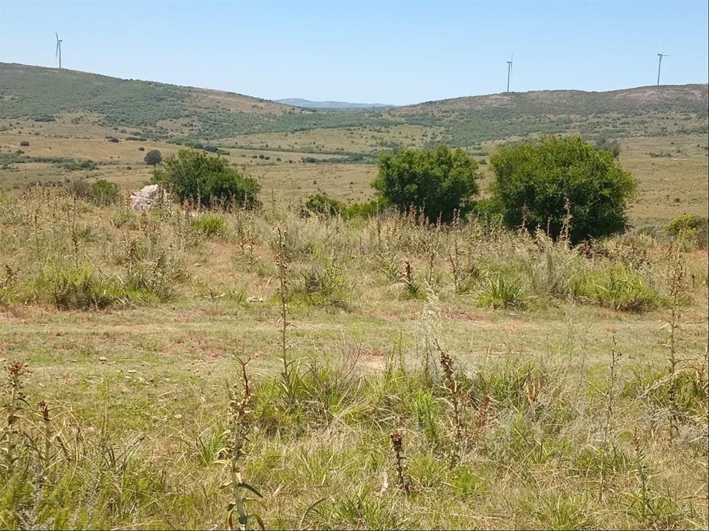 CAMPO EN VENTA - SIERRAS DEL CARAPE - MALDONADO