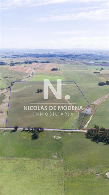 Campo de 42 Hectáreas con Alto Potencial de y -