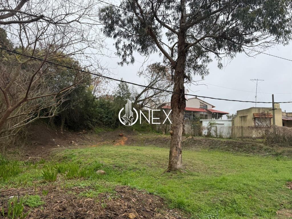 Se vende amplio terreno en Atlántida - USD