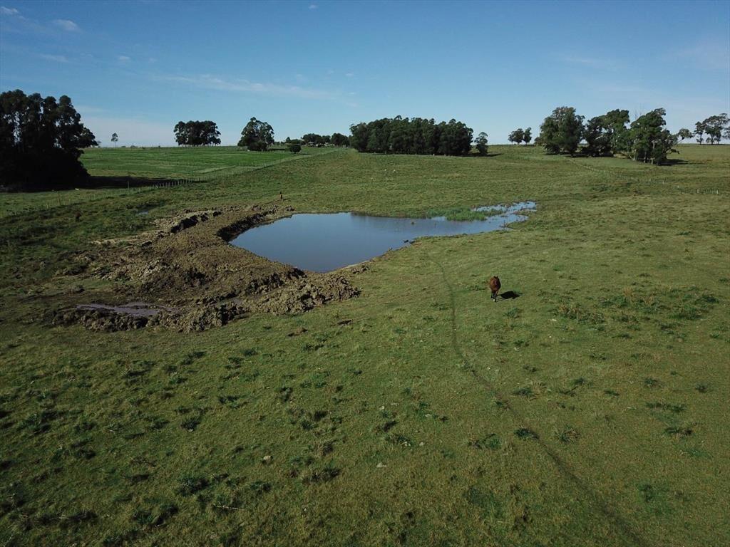 Chacra de 10 ha en venta en Garzón a 15 minutos de José Ign