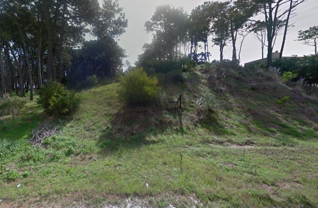 Venta Terreno en Rincon del Indio apto Edificio