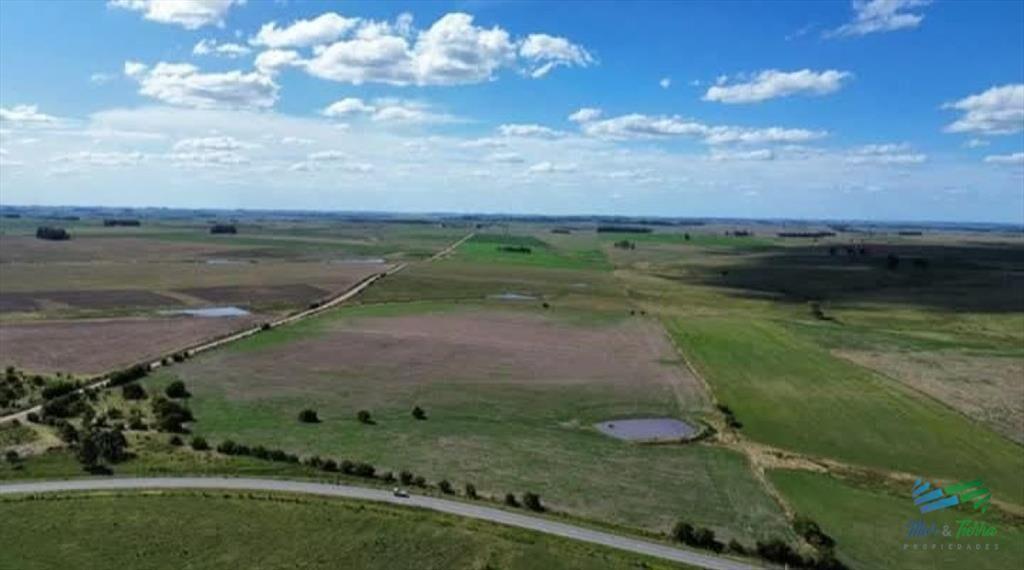 150 Has Campo Agrícola Ganadero a tan solo 10 de