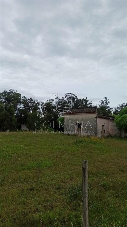 Chacra 11 has con casa