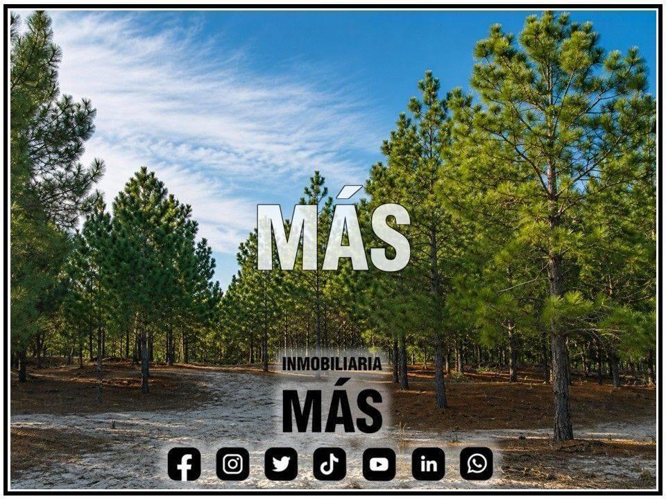Venta Chacra Marindia Laguna Campo iMas.uy LC *...