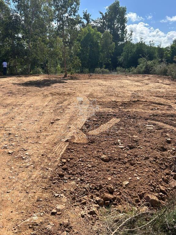 Terreno en venta en el mismo pueblo Pueblo Edén