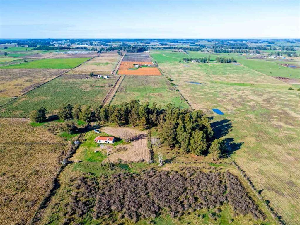 Venta de campo 10Ha. con casa en Estación Pedrera