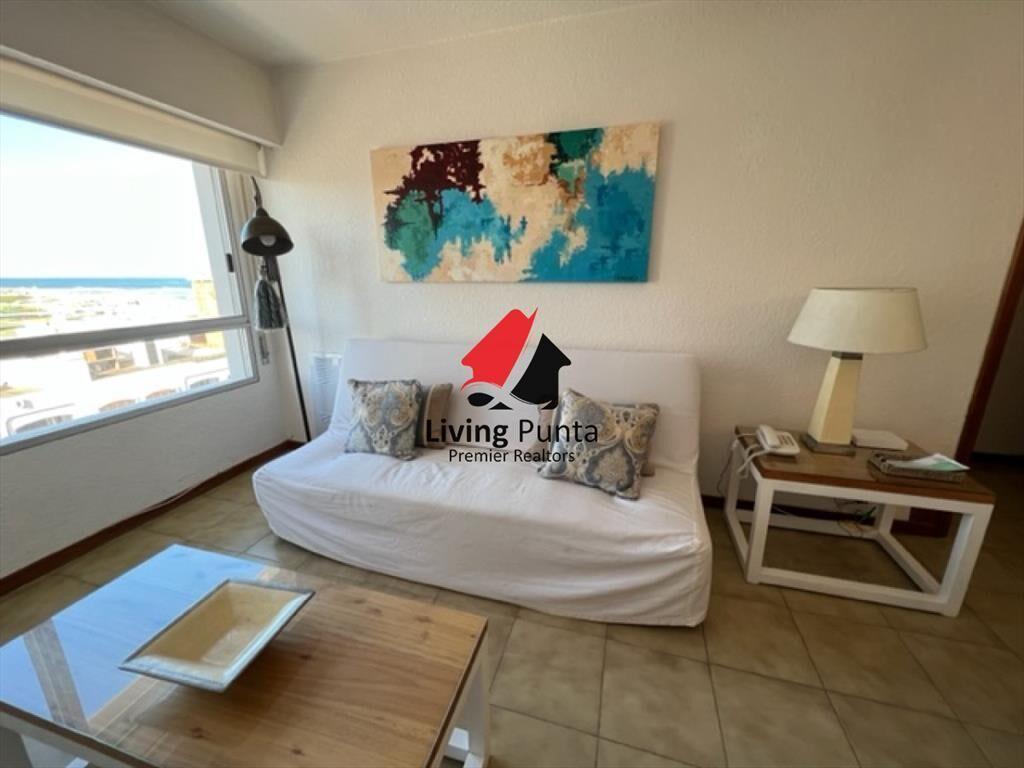 Hermoso apartamento 1 dormitorio con VISTA!
