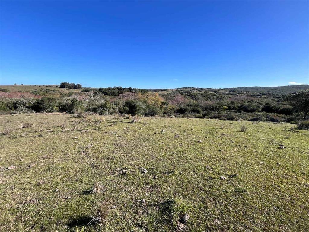 Campo en venta al norte de Garzón - Buen acceso