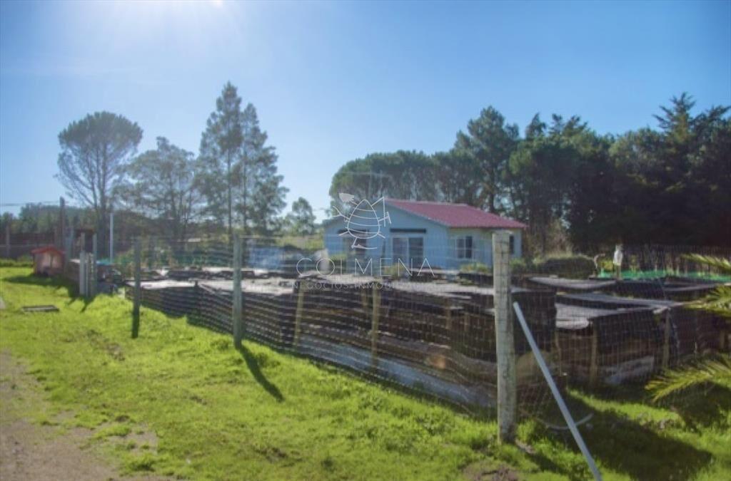 Chacra importante en R. 39 con 700 m2.