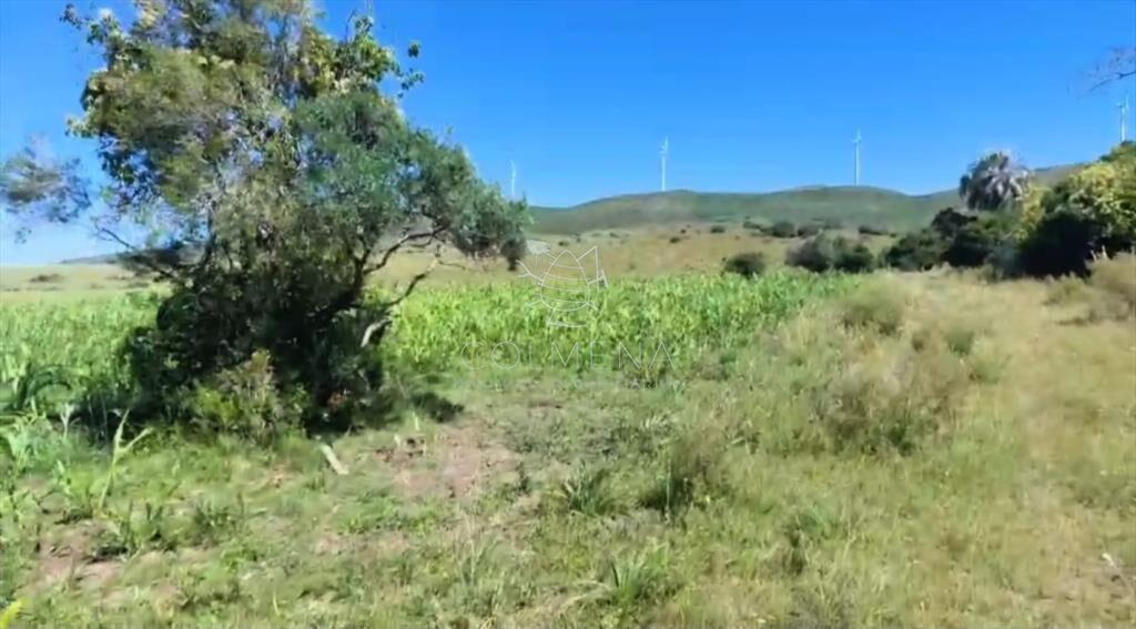 Campos de 6 y 5 has en los Caracoles 35 minutos