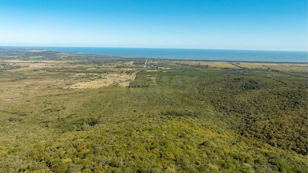 Campo en Venta en Sierra de las Ánimas, Ladera sur