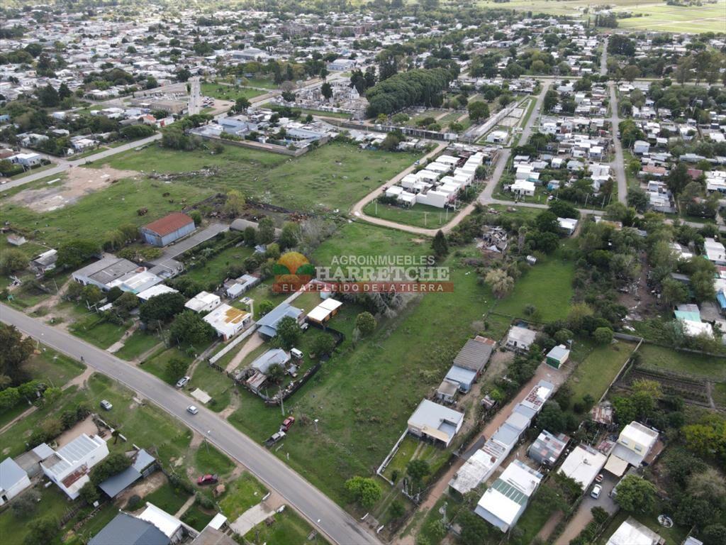 Terreno en Santa Lucia, 4696 m2 con frente a ruta