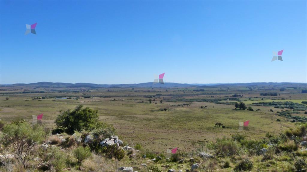 VENTA CHACRA POR RUTA 39 SAN CARLOS