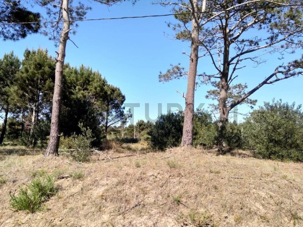 Espectacular terreno en Punta del Diablo, La Viuda 1200 m2