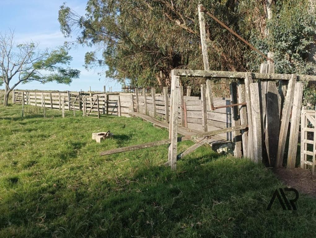 Venta Muy Buen Campo De 78 Hectáreas, Zona Muy Accesible...