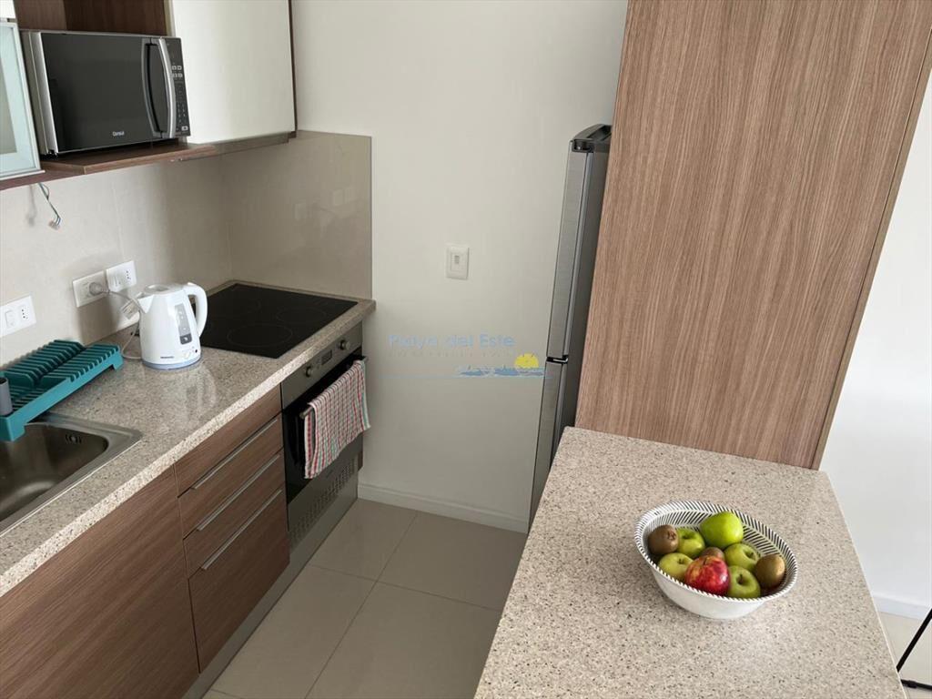 Apartamento de 1 dormitorio en alquiler temporal