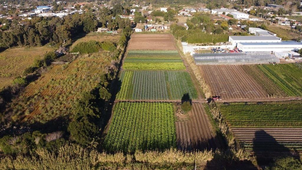 OPORTUNIDAD 900 MT TERRENO SAN JOSE CARRASCO