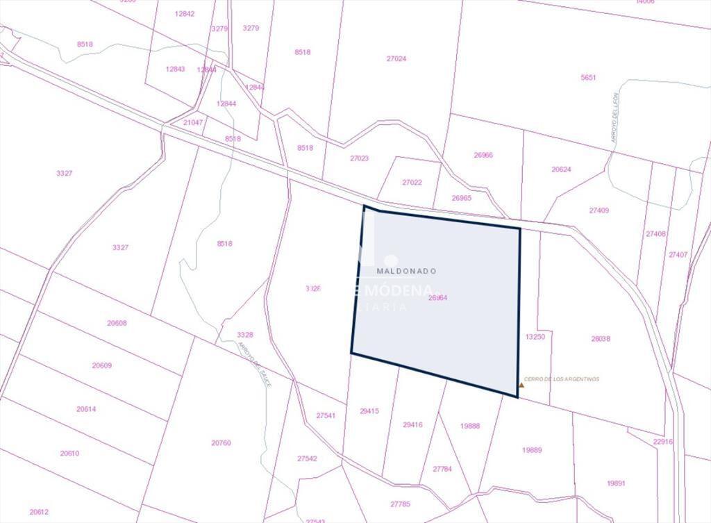 Campo de 54 has en venta en Sauce de Aigua.