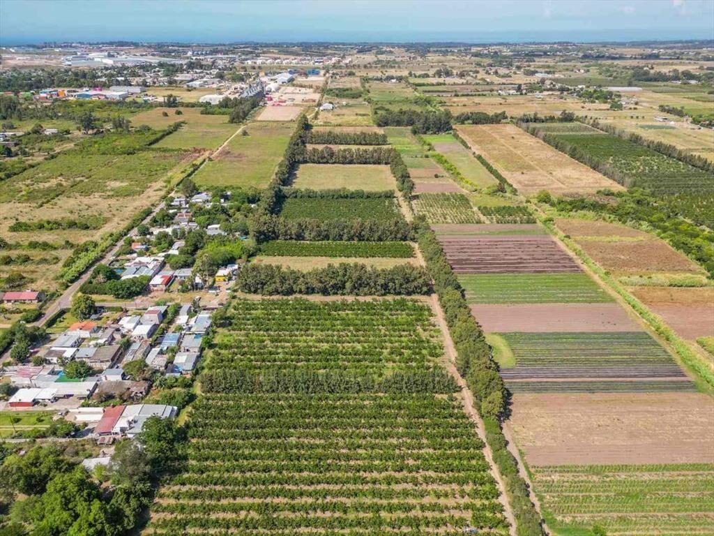 VENTA Terreno 55707 m2,LOGISTICA, PASO DE LA ARENA