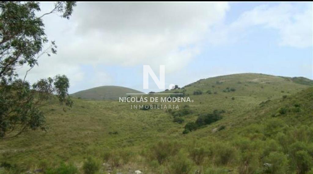 Campo de 95hás.