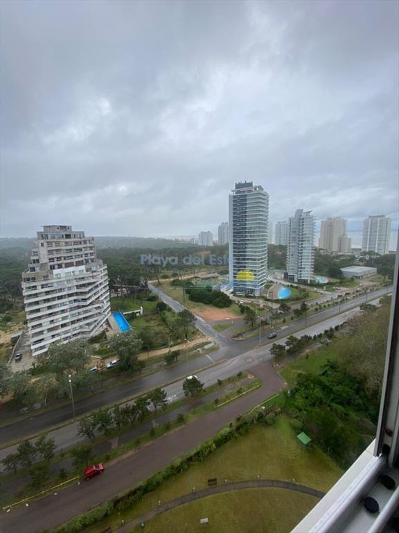 brava, roosevelt, punta del este