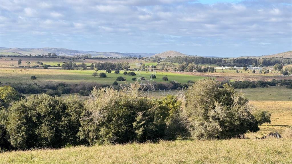 Chacra 5 has en Campanero con buena vistas y