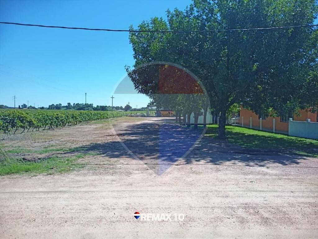 Casa Quinta en Venta - Joanicó Canelones