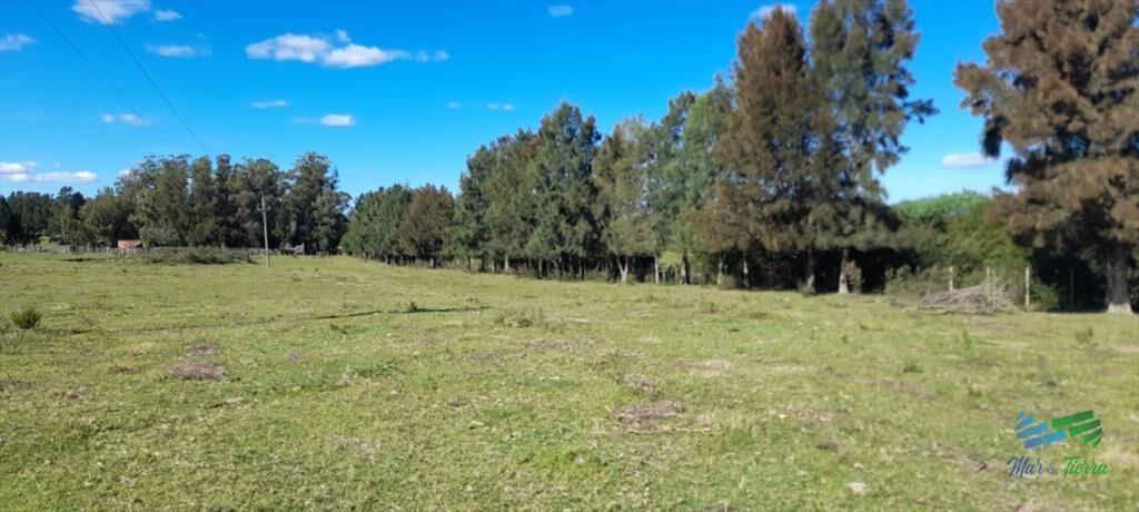 Buen campo agrícola, muy bien ubicado. 83 Has