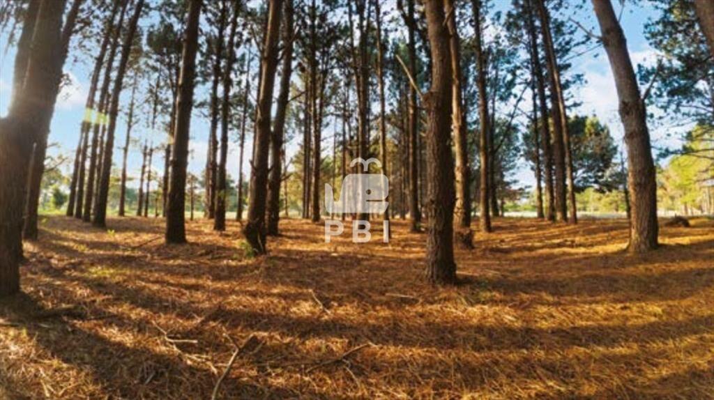 Terreno en La Serena, Punta Ballena - Ref :
