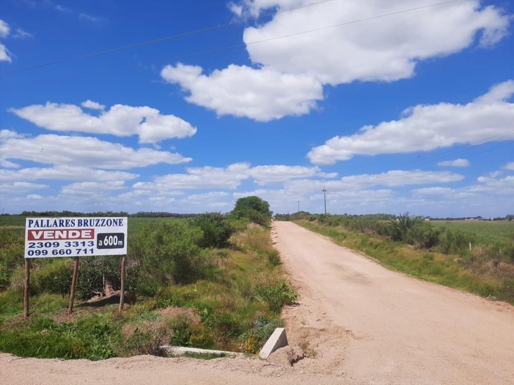 Buen predio rural, 24 héctareas a 600 m Ruta 5, KM 50.
