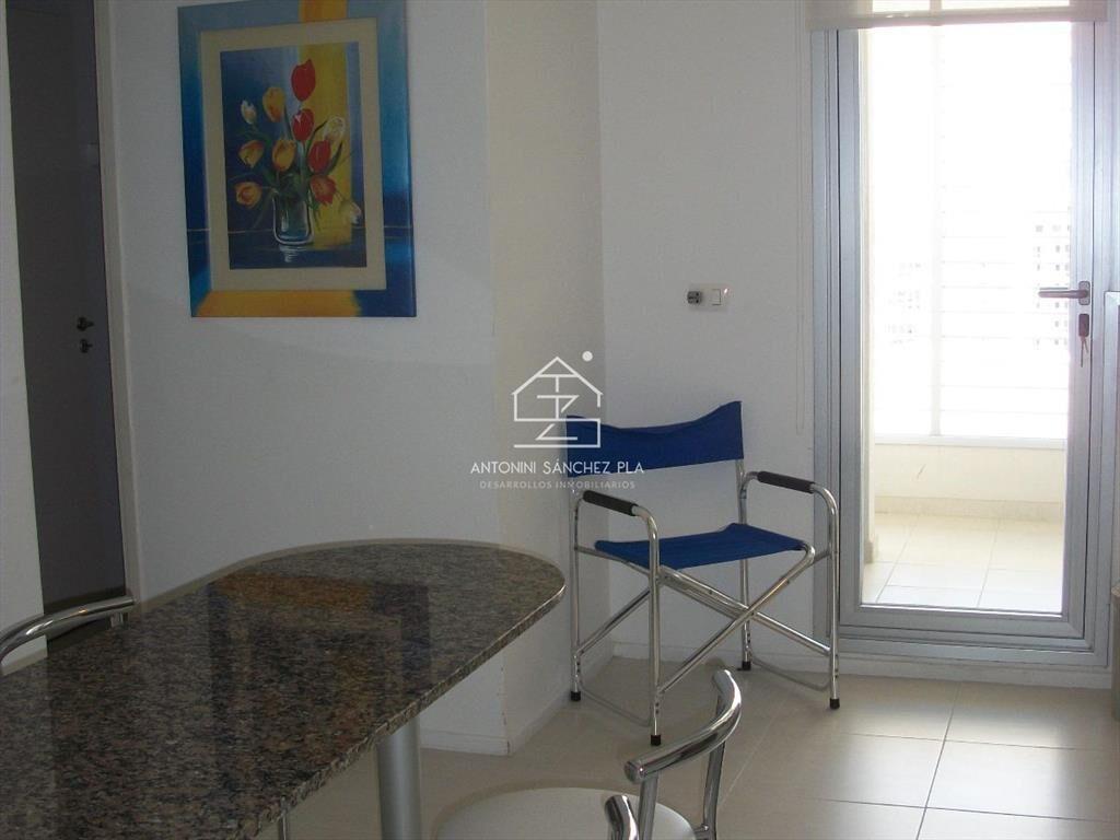 Apartamento - Playa Brava Parada 3