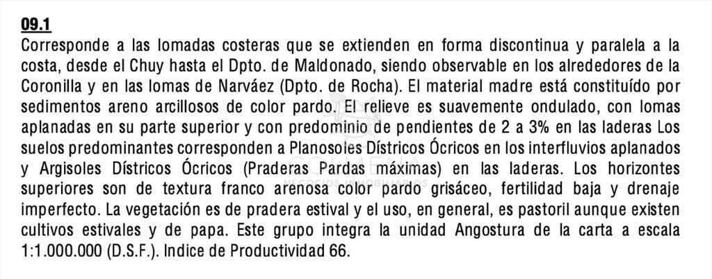 Campo 230 has - Ganadero y Turístico en Rocha